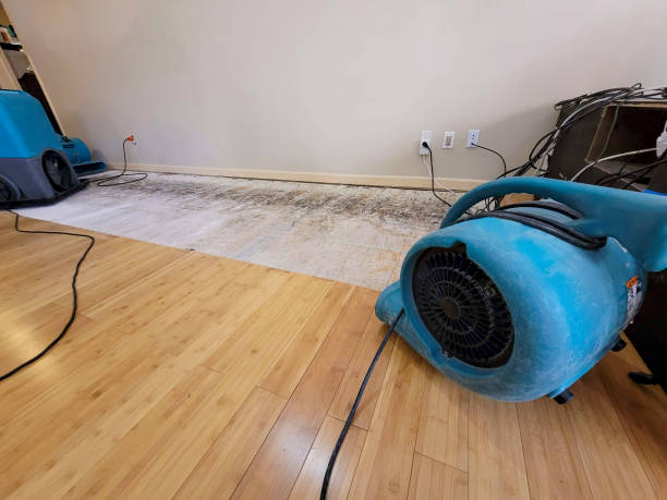Professional Emergency Water Damage technician working in Fort Lupton, CO